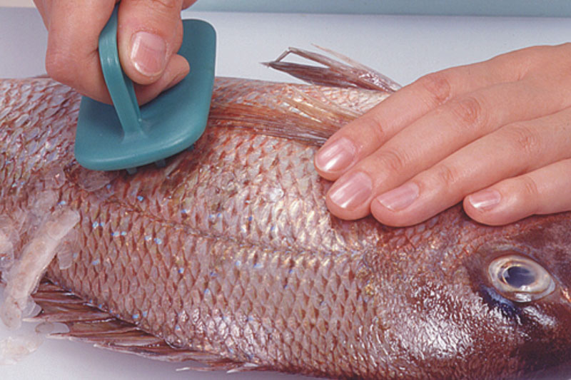 La Capital Utilizan Escamas De Pescado Para Producir Plastico