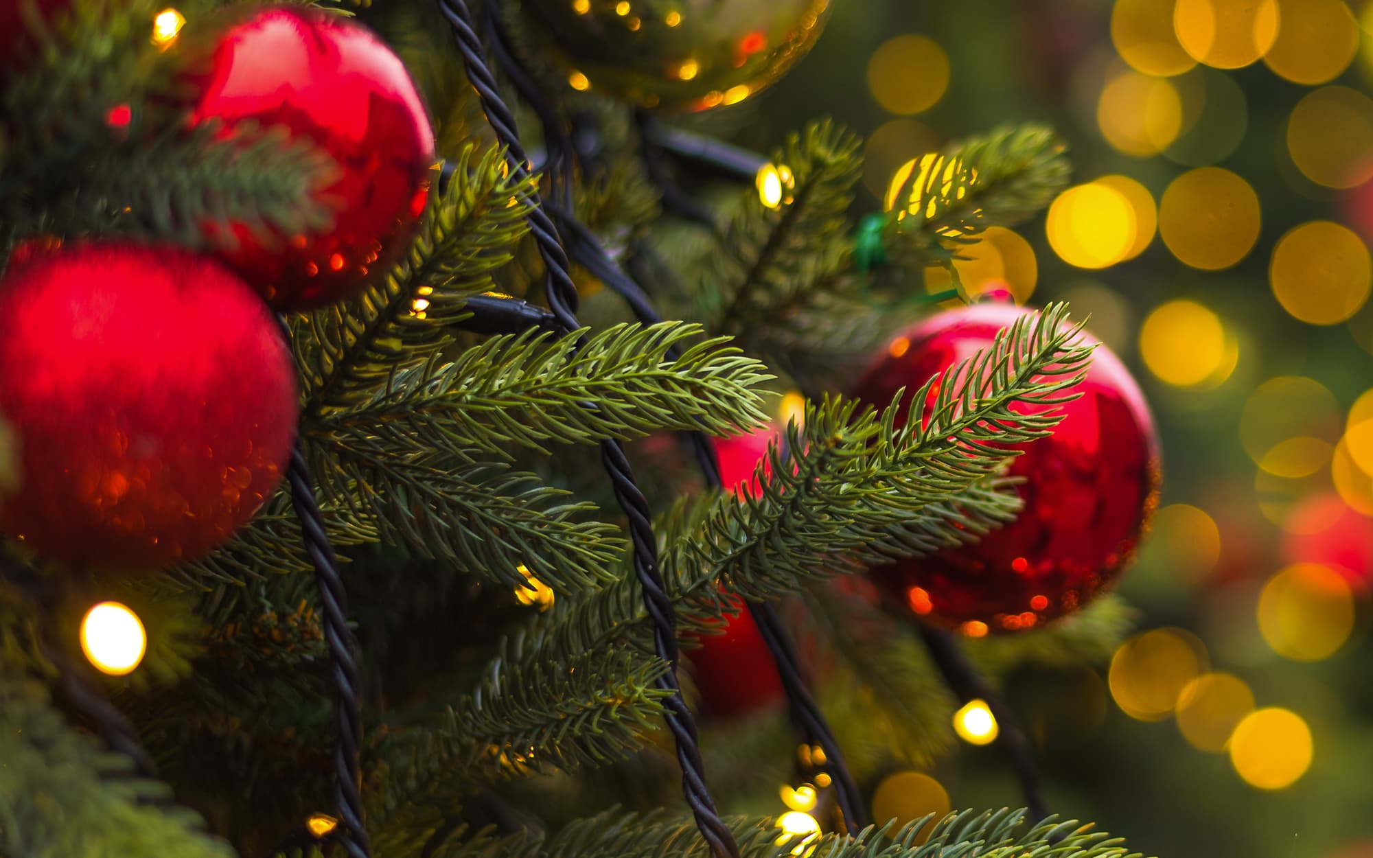 Downtown St. Louis Christmas Tree Lighting 2021 The Landing