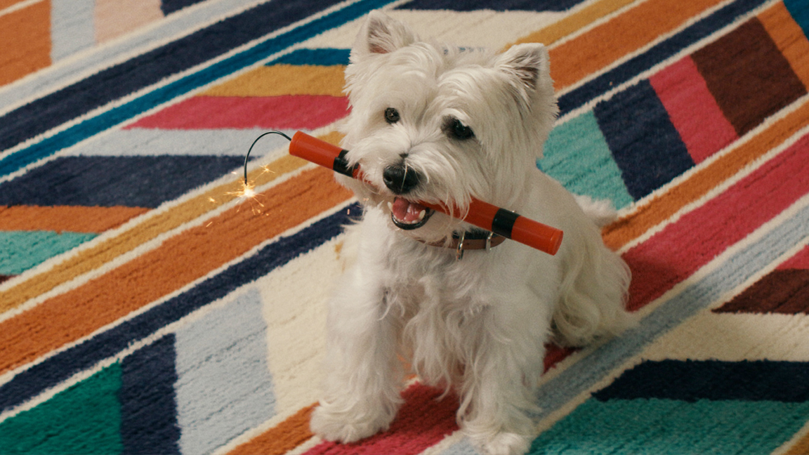 Ladder Releases Debut Brand Campaign Designed to Reach New Generation of Consumers Ladder Life