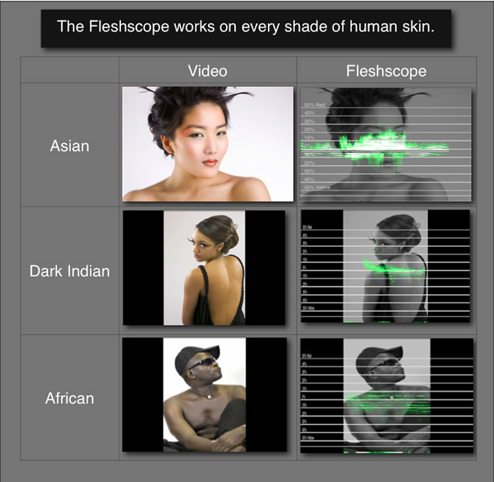 Tutorial Color Correcting Skin Tones Using "Fleshscope"