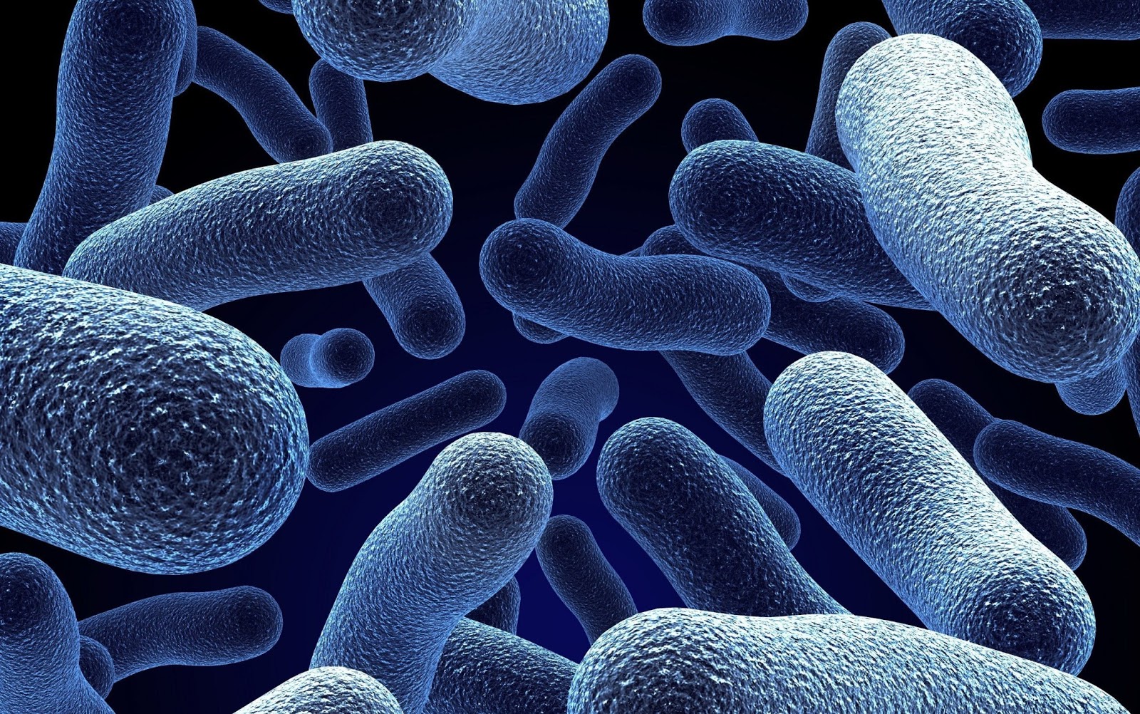 How To Prevent Infection From Vibrio Vulnificus On Fishing Trips