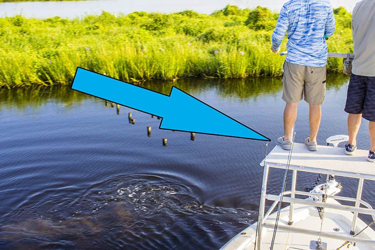 What is the Best Casting Platform Height? Louisiana Fishing Blog