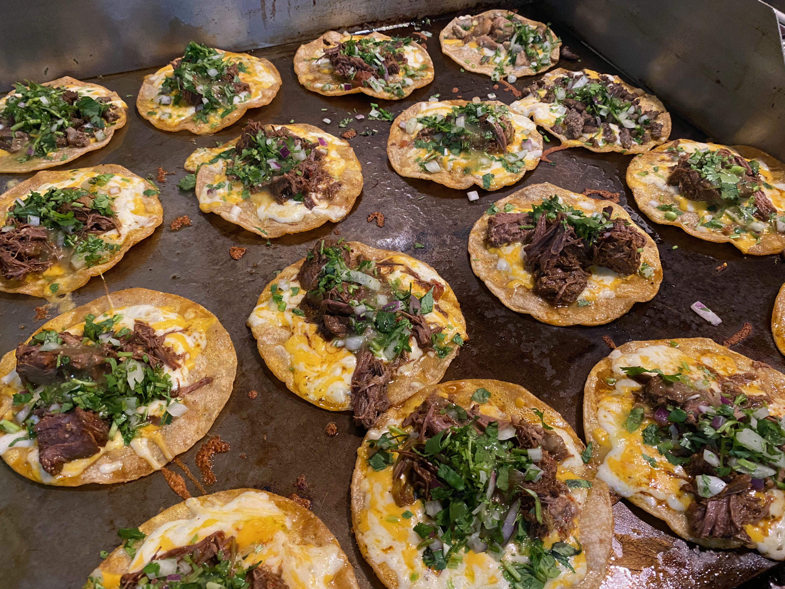 Quesabirria Tacos in Oakland and Taco Tuesday in Oakland