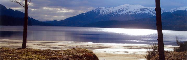 Laggan Wolftrax Centre