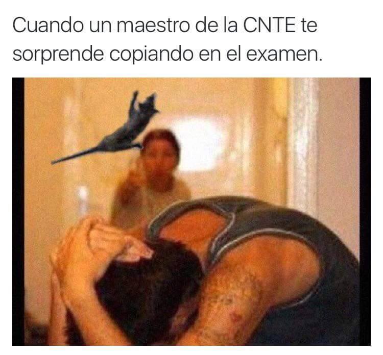 Mejores memes del tlacuache misil que se volvió viral