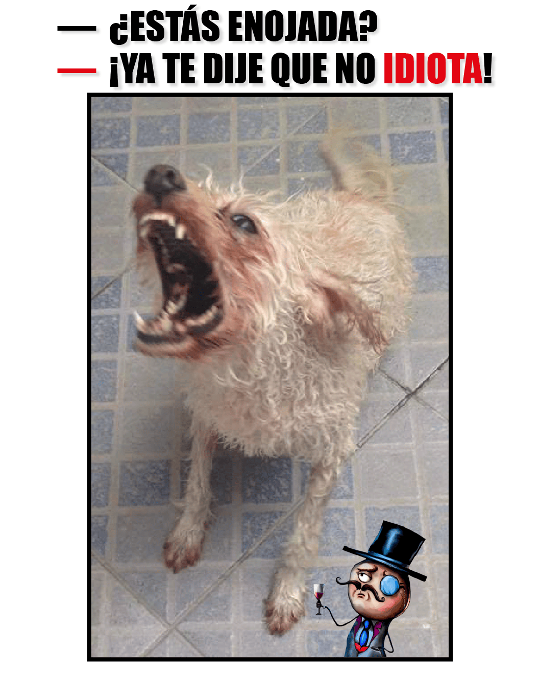 Perra en adopción desata memes en por su “ternura”