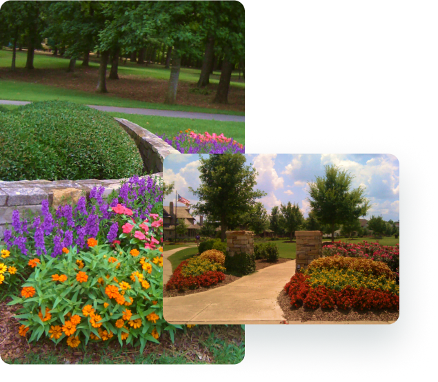 The LAI Difference Landscape Associates