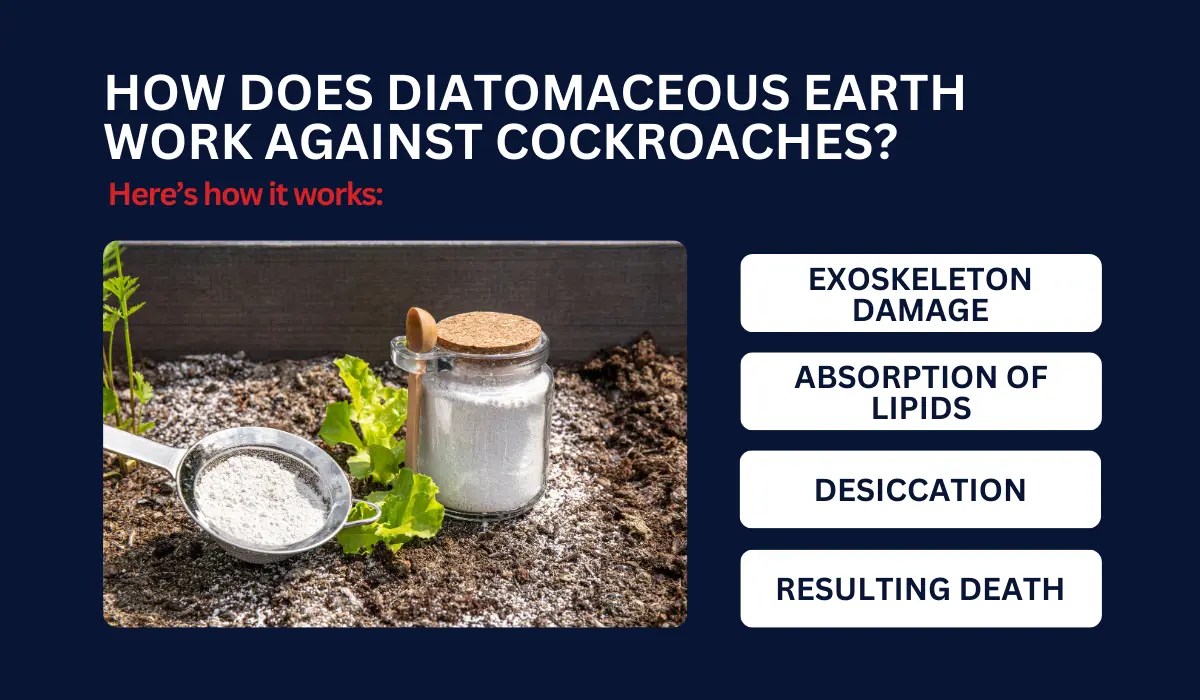 Does Diatomaceous Earth Kill Cockroaches? LaJaunie's Pest Control