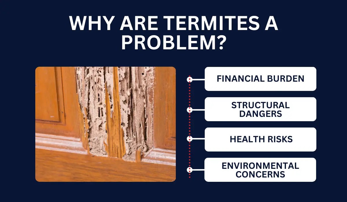 Are Termites Really That Bad? Here’s What to Know LaJaunie's Pest Control