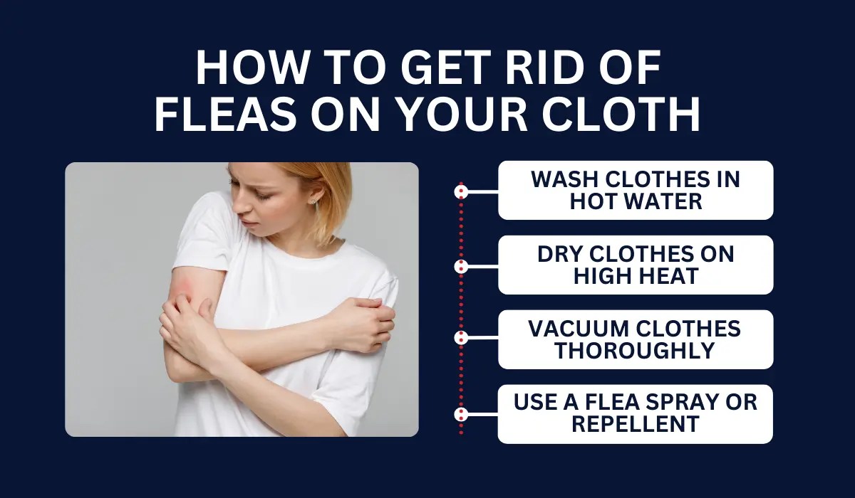 4 Tips for Getting Rid of Fleas on Your Clothes | LaJaunie&rsquo;s Pest 