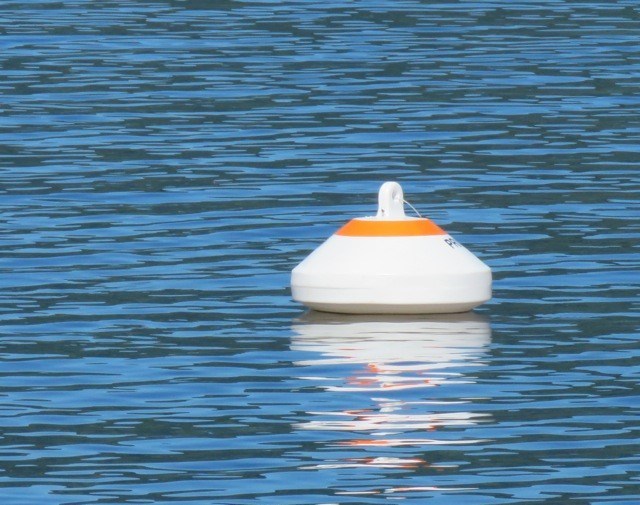 2022 Mooring Buoy Information *Updated* Lake Windermere Ambassadors