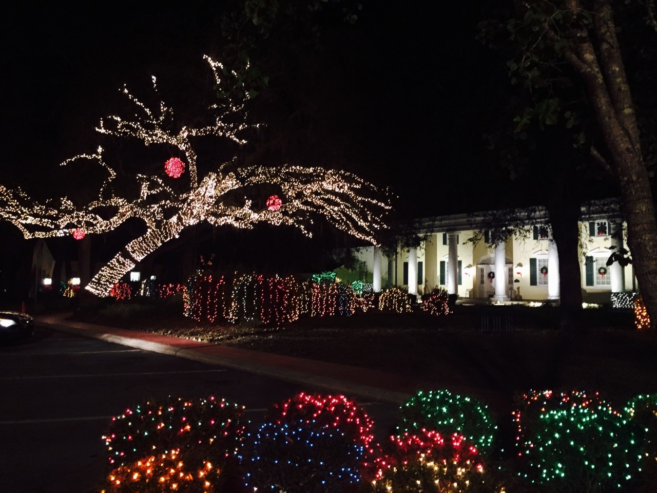 Festival of Lights Lake City