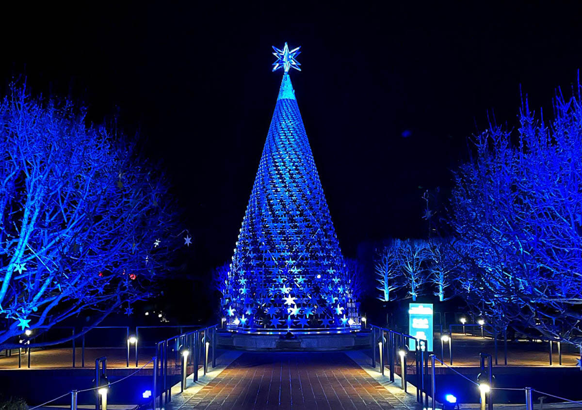 Lake County Christmas Light Displays Guide Lake County News Dispatch