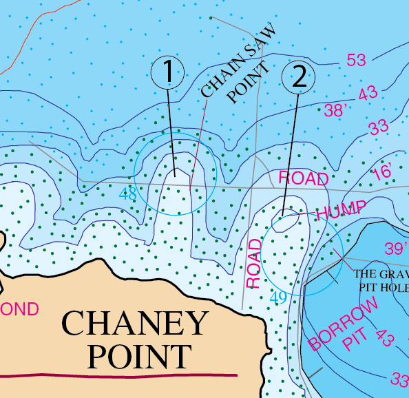 LEARN THE LAKE SERIES MOUTH OF CHANEY BRANCH Martins Map The