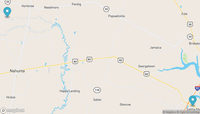 Lake Front Homes for Sale in Hortense, Real Estate