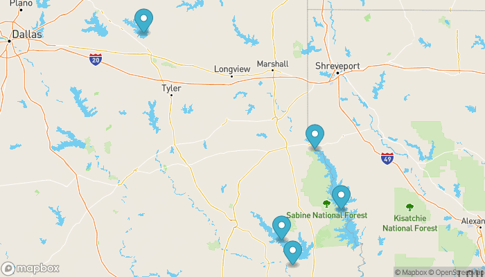 Lake Front Homes for Sale in Pineland, Texas, Real Estate