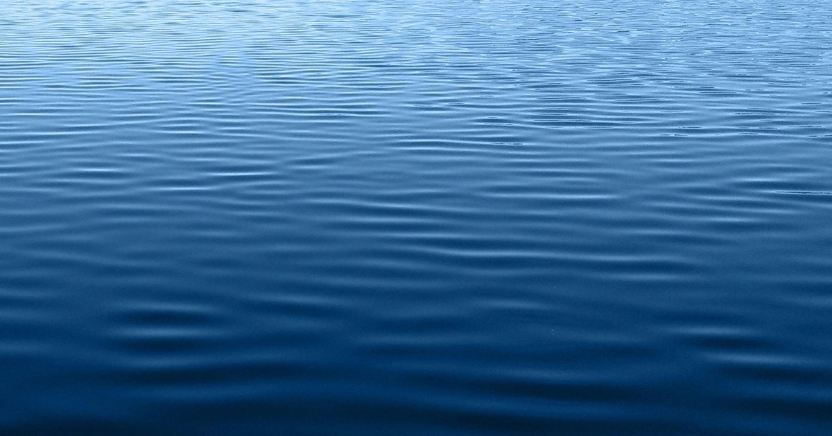 Waterfront Homes in Litchfield, MN