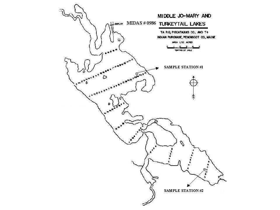 Lake Overview Middle JoMary (Turkeytail) Lake T4 Indian Purchase