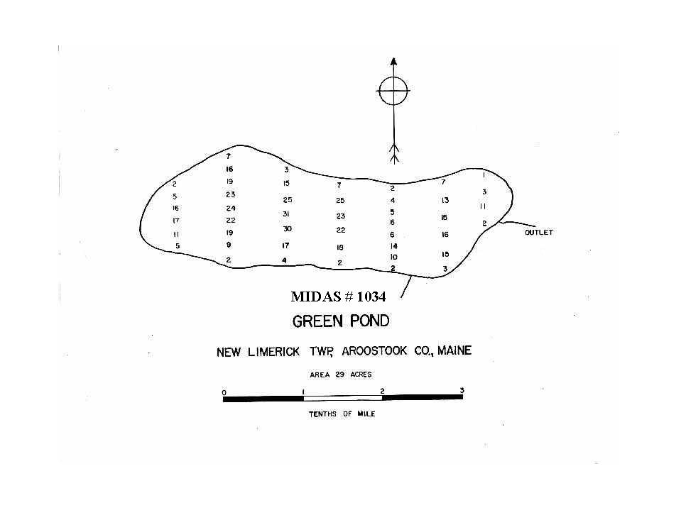 Lakes of Maine Lake Overview Green Pond New Limerick, Aroostook