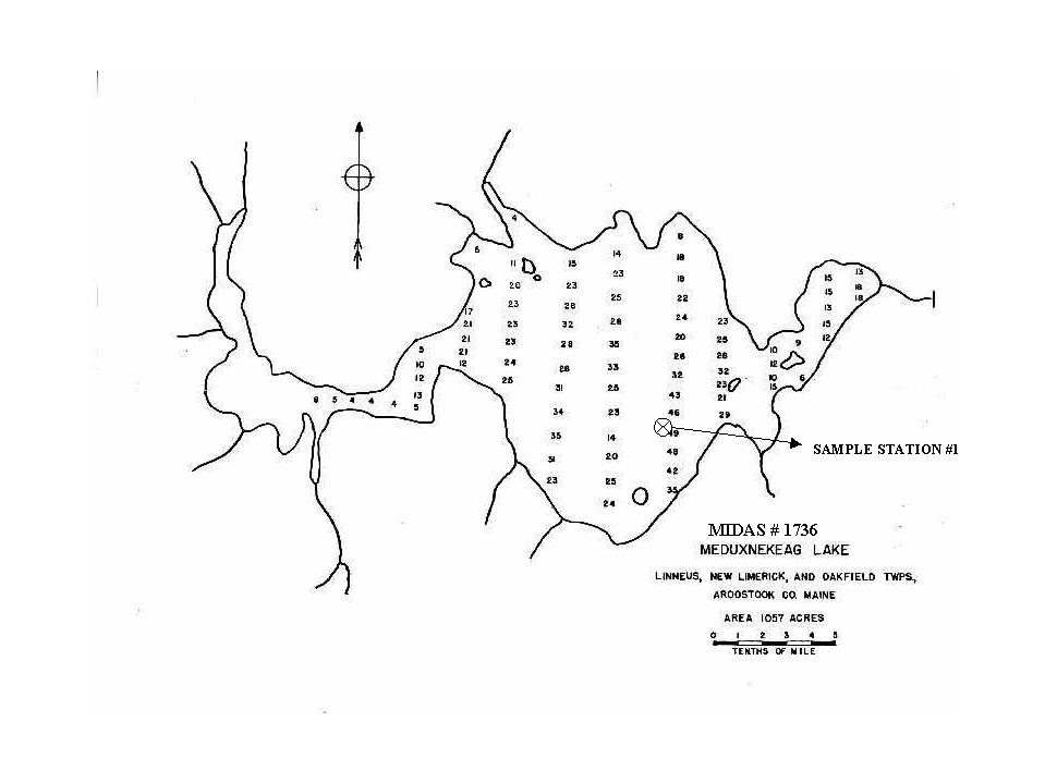 Lakes of Maine Lake Overview Meduxnekeag (Drews) Lake Linneus