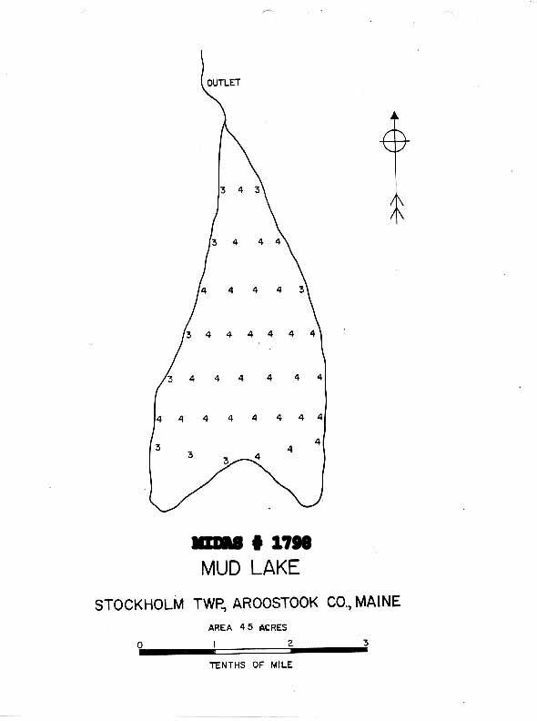 Lakes of Maine Lake Overview Mud Lake Stockholm, Aroostook, Maine