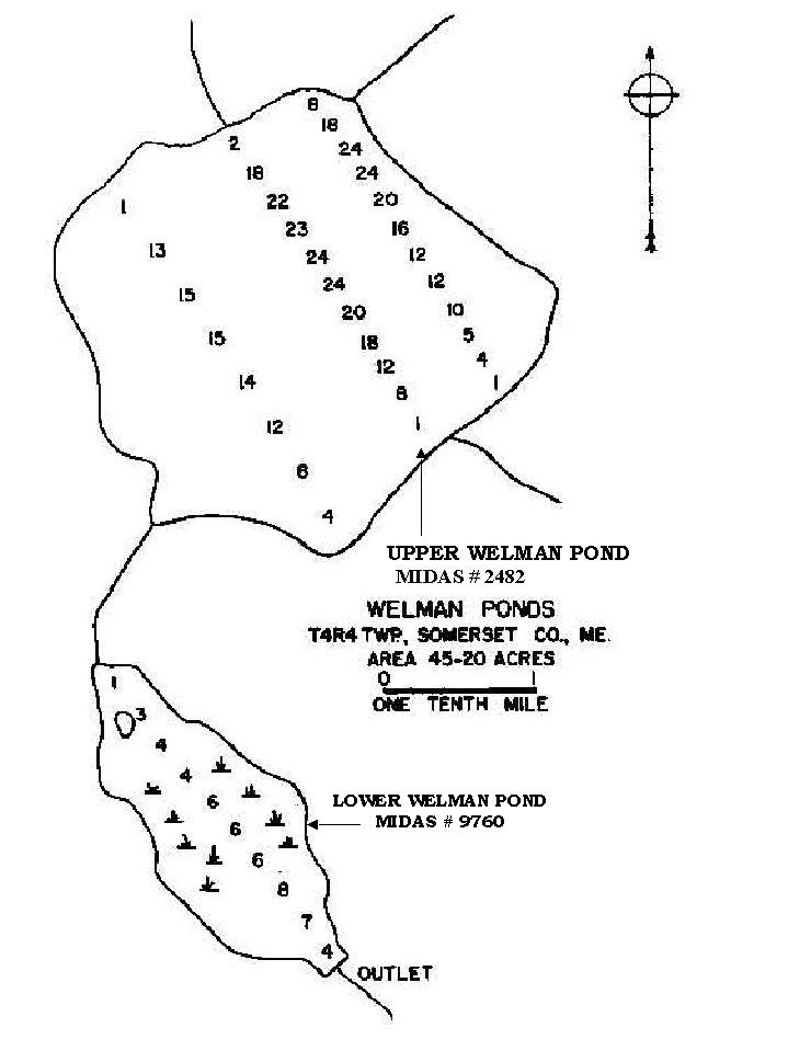 Lakes of Maine Lake Overview Upper Wellman Pond Prentiss Twp