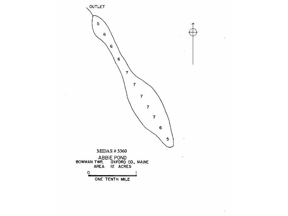 Lakes of Maine Lake Overview Abbie Pond Bowmantown Twp, Oxford, Maine