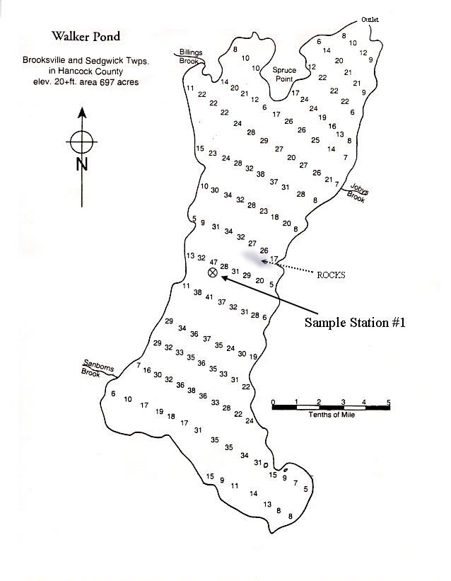 Lakes of Maine Lake Overview Walker Pond Brooksville, Hancock, Maine