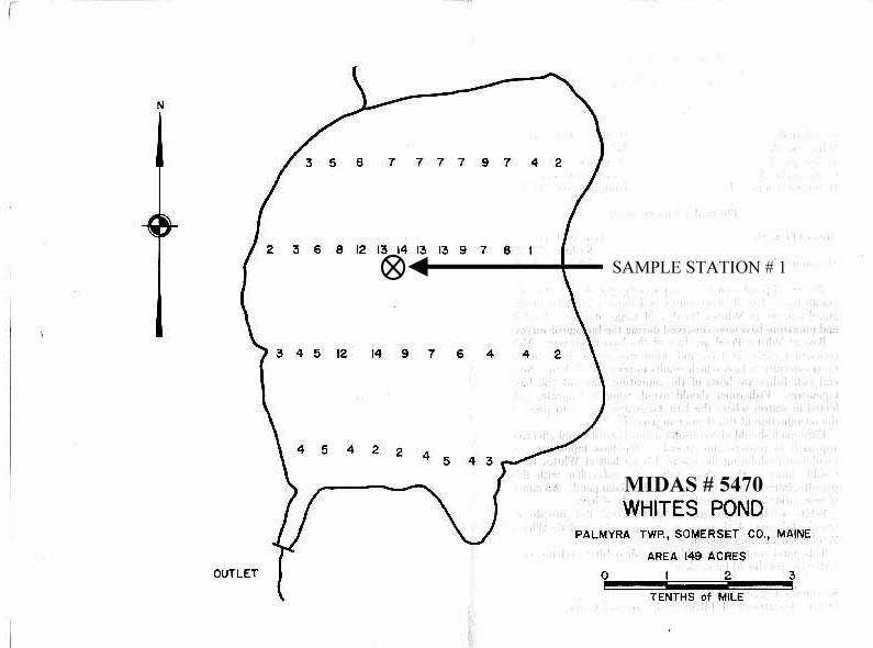 Lake Monitoring Whites Pond Palmyra, Somerset, Maine Lakes of Maine