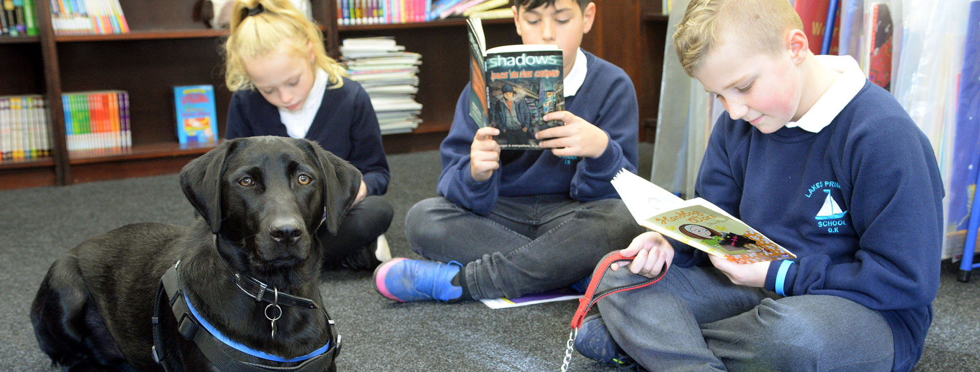 Lakes Primary School