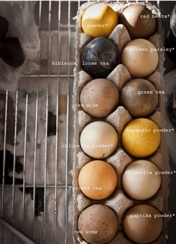 Mystic Onyx Chicken Egg Color