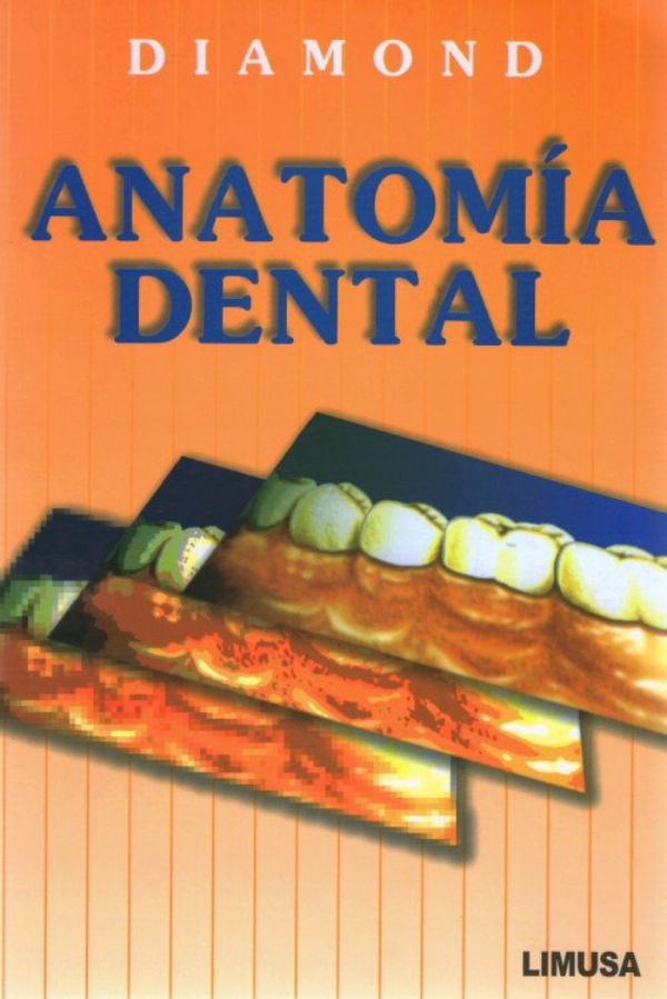 Diamond. Anatomia dental