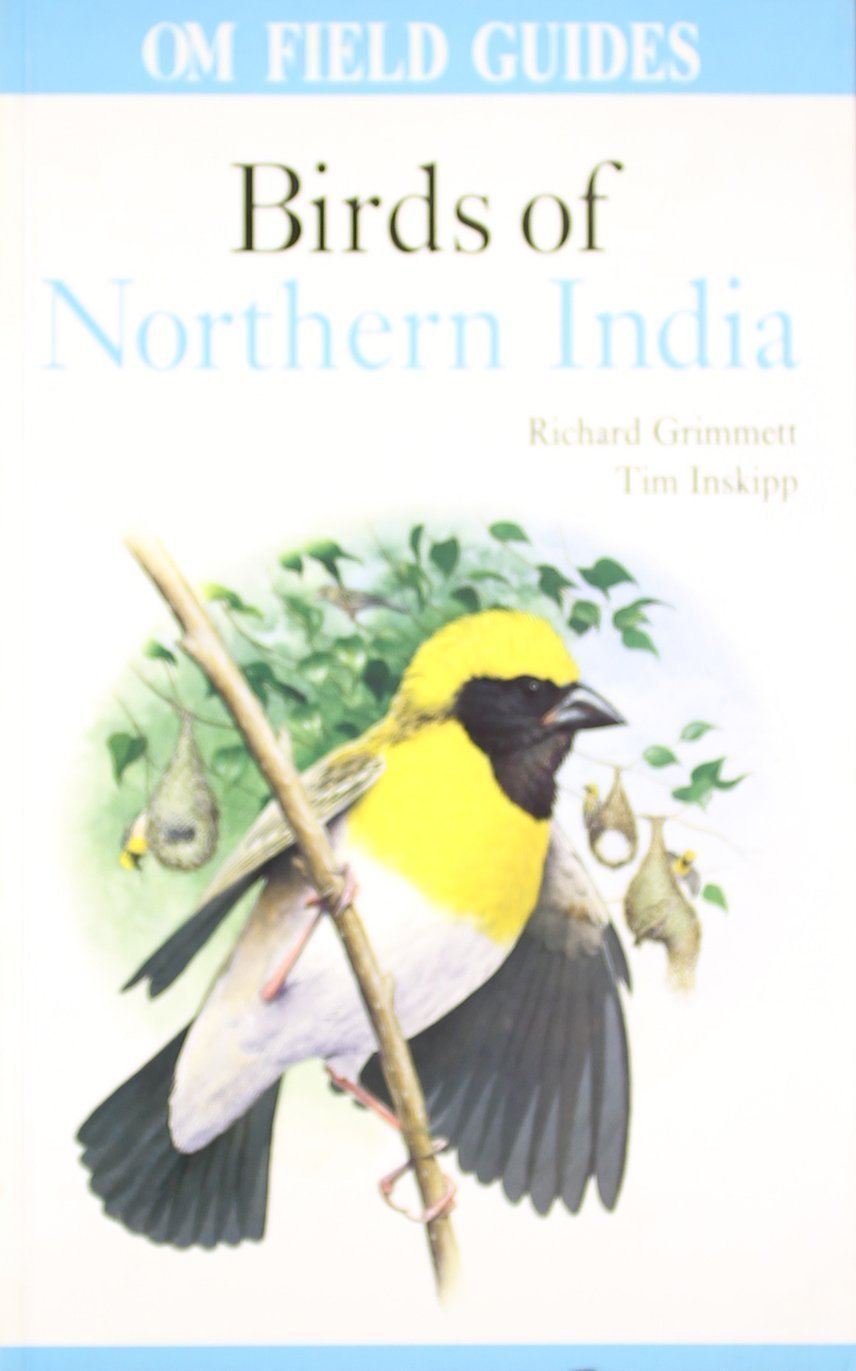 Birds of Northern India ( Paperback ) CONDITION USED GOOD Lalwani