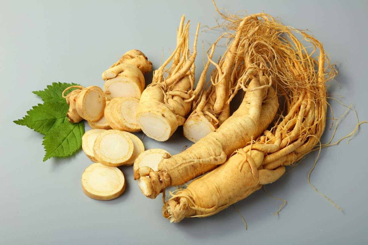 Ginseng, est il vraiment bénéfique ou est ce un mythe asiatique