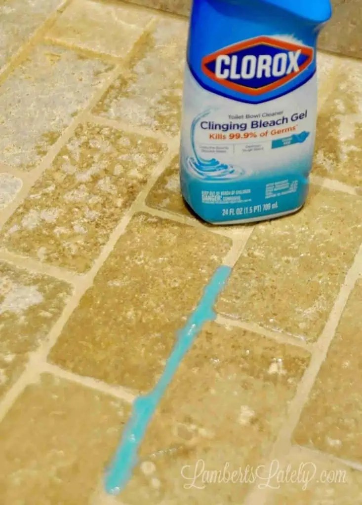 Cleaning Tutorials Lamberts Lately