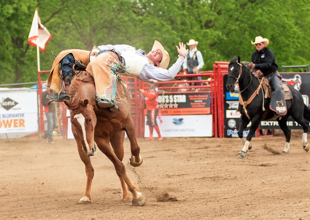 Alvinston Pro Rodeo Lambton Mutual Insurance Company