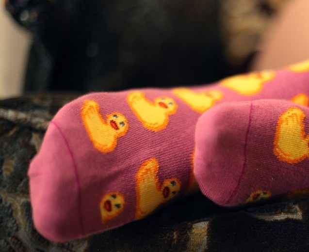 Chaussette Motif Canard Jaune Acheter Chaussettes Canards Homme
