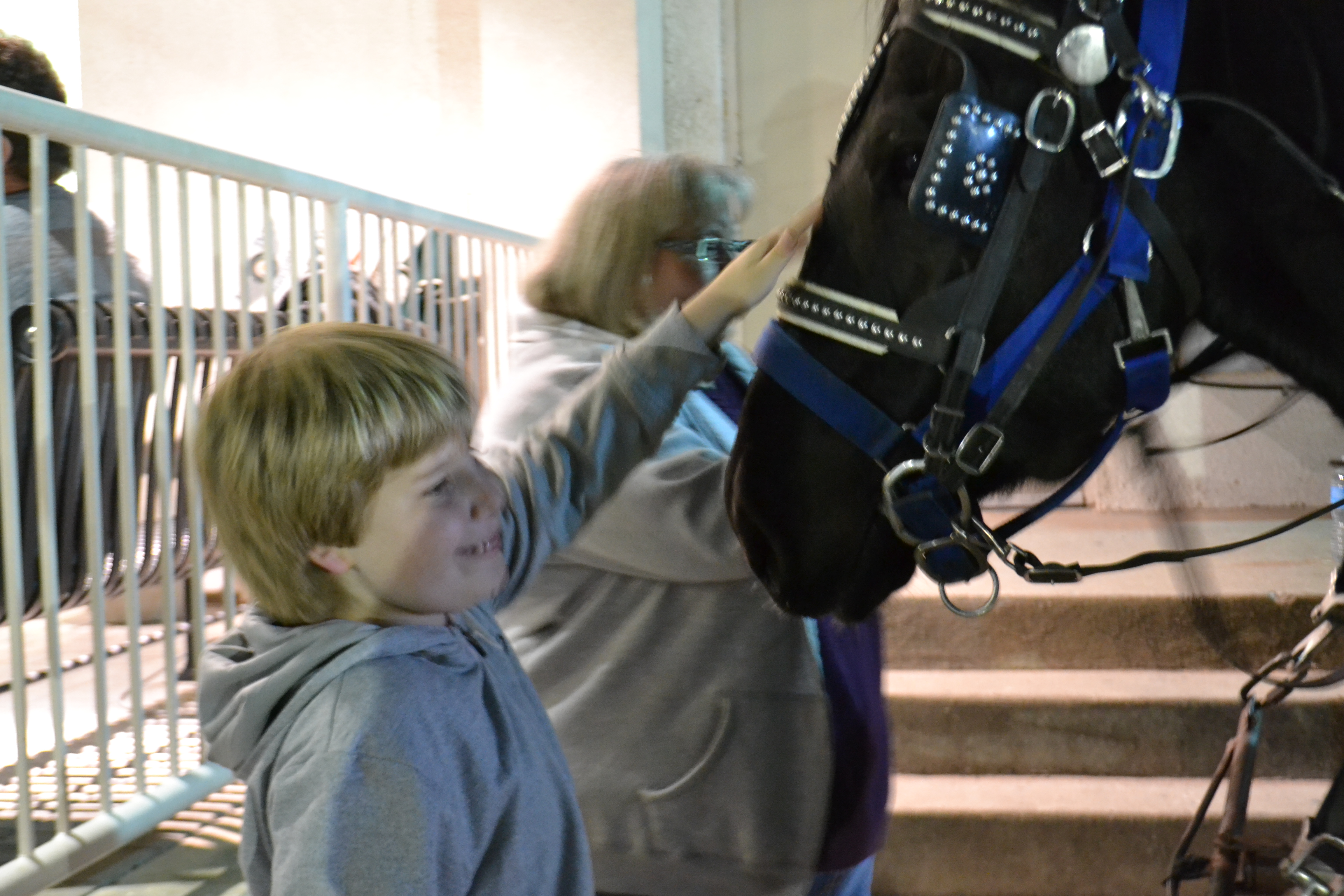 A Carriage Ride Through Highland Park