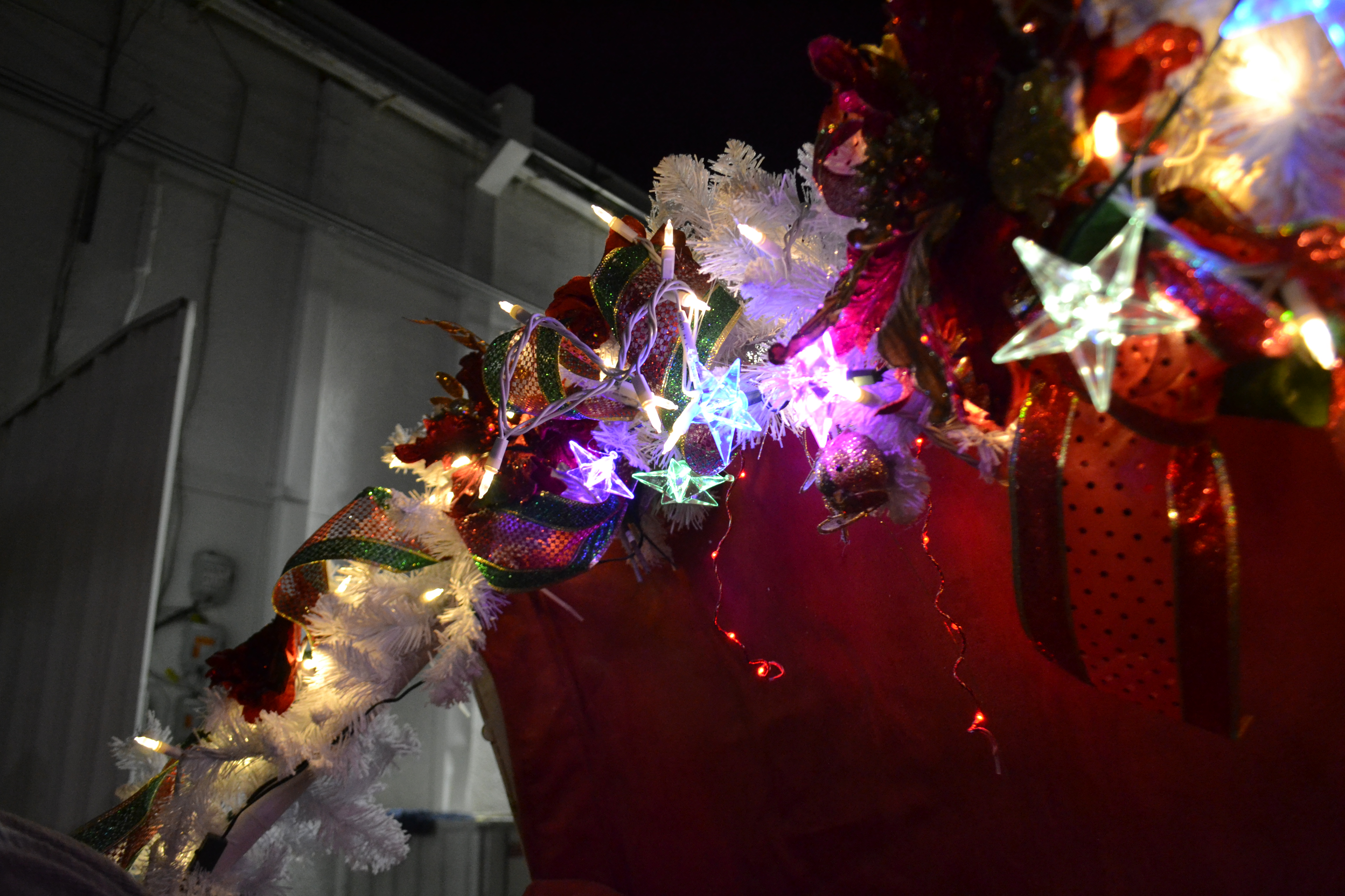 A Carriage Ride Through Highland Park