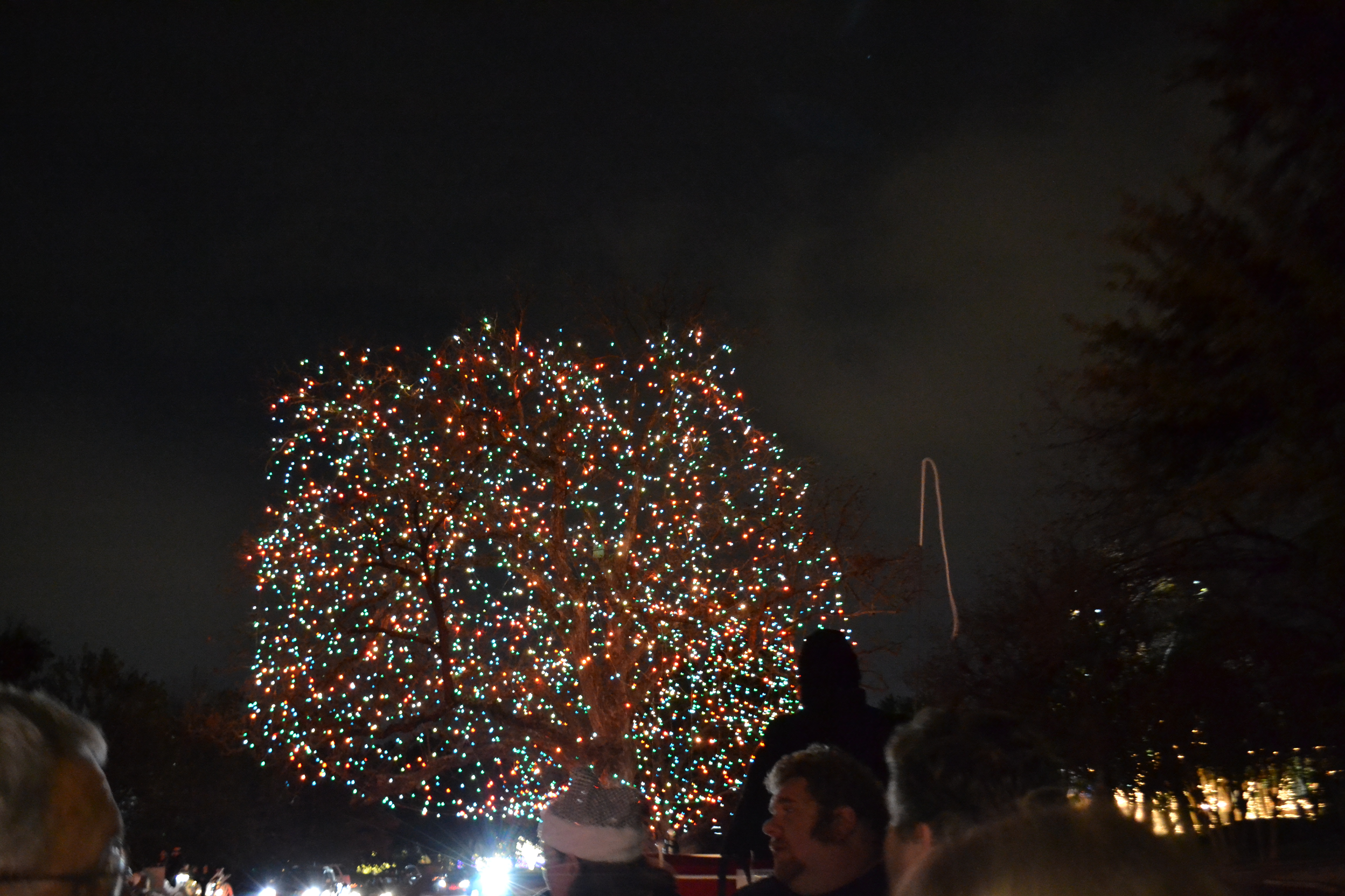 A Carriage Ride Through Highland Park