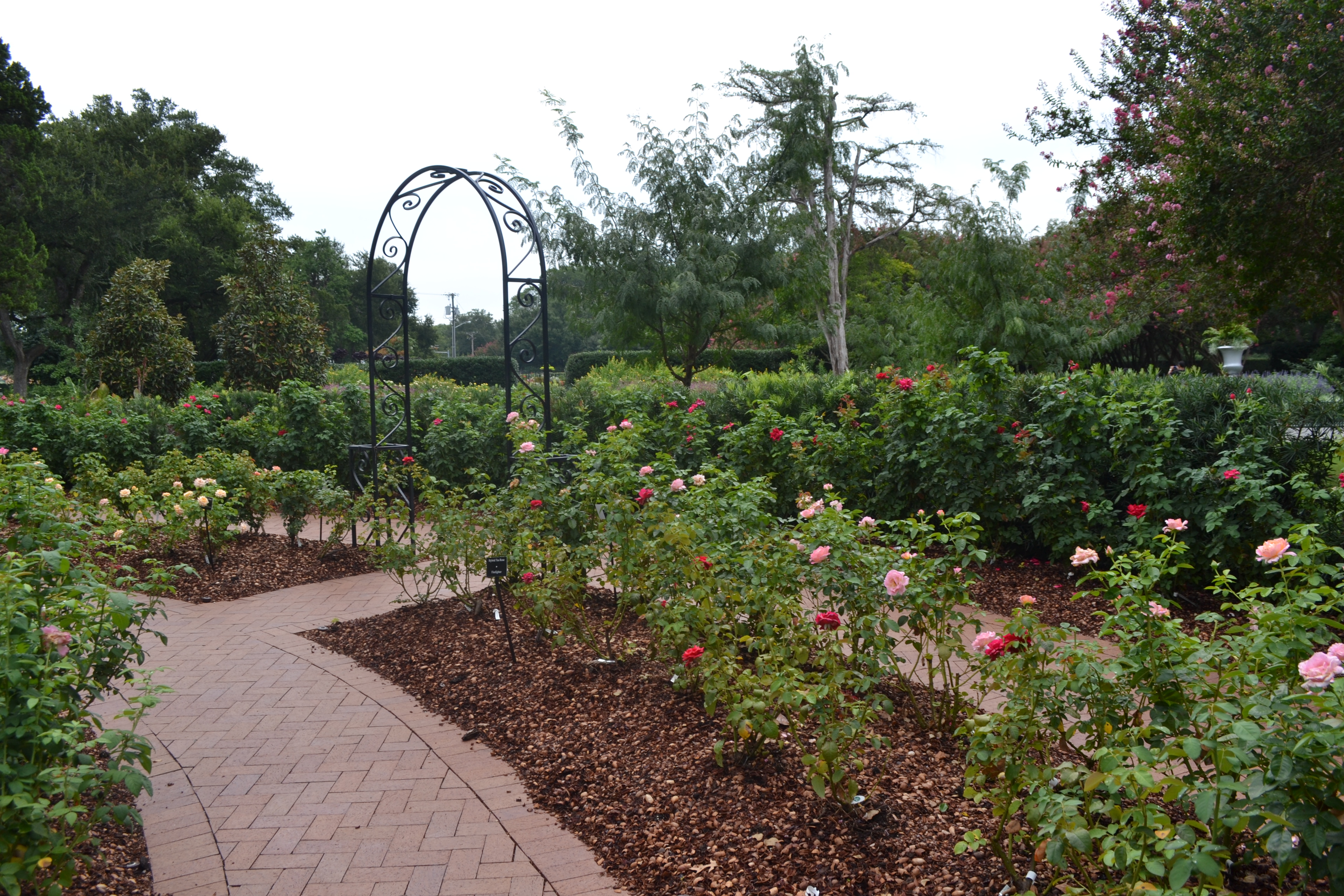 Summer at the Arboretum