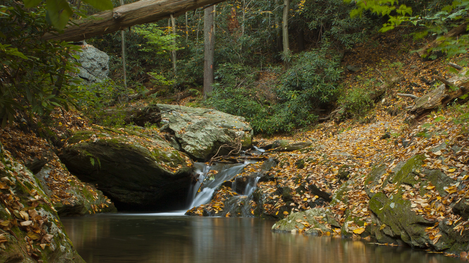 Kellys Run Nature Preserve Lancaster Conservancy
