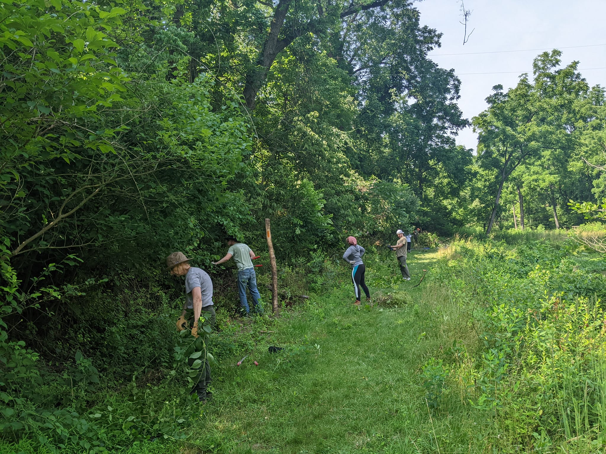 Volunteer Workday at Wizard Ranch Nature Preserve Lancaster Conservancy