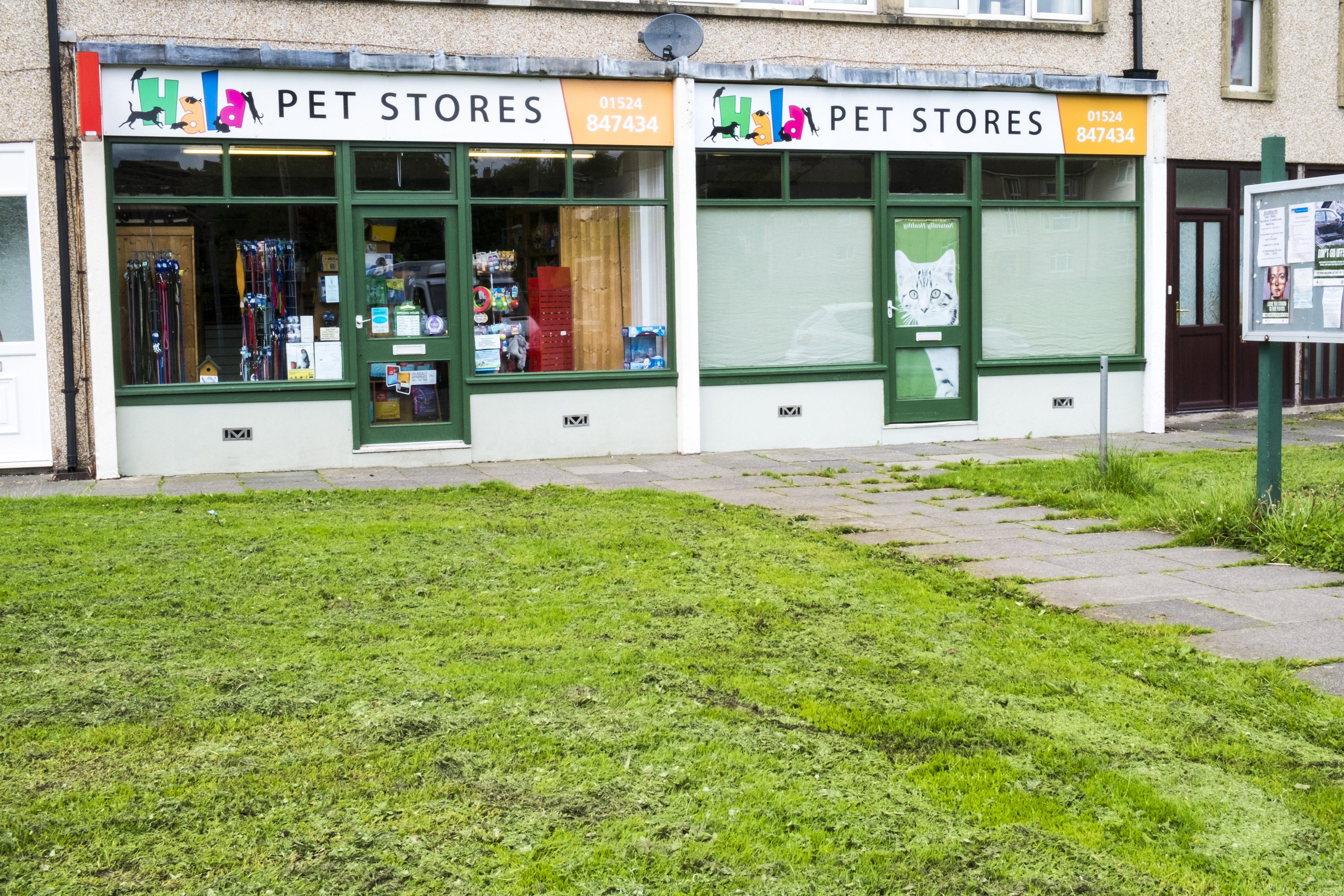 The NEW Bigger Hala Pet Store Lancaster District Magazine