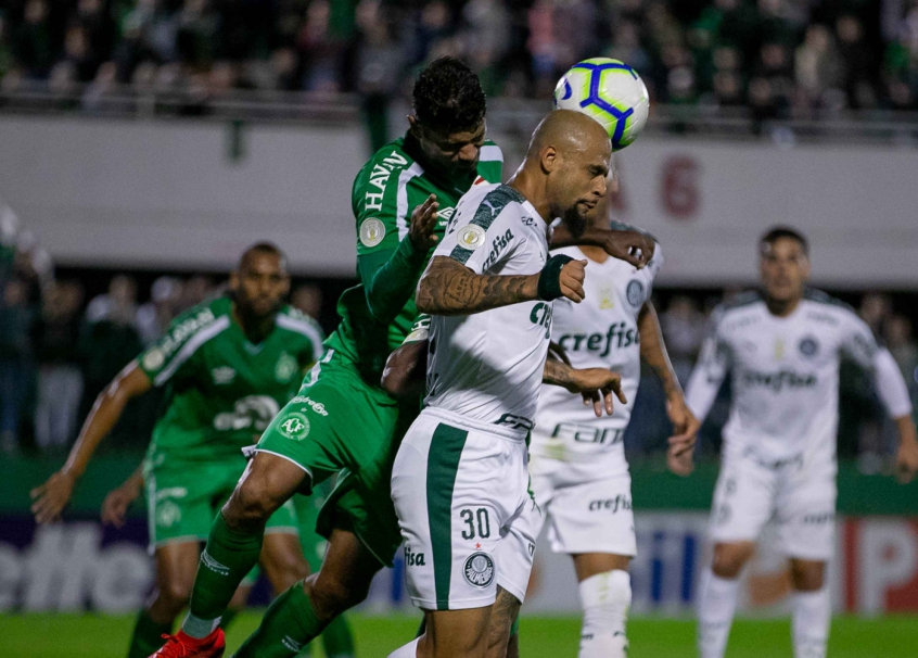 Líder, Palmeiras atinge sua maior sequência de vitórias em dez anos