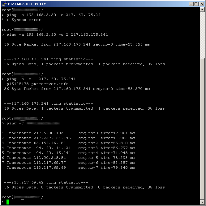Parameter overview for the ping command