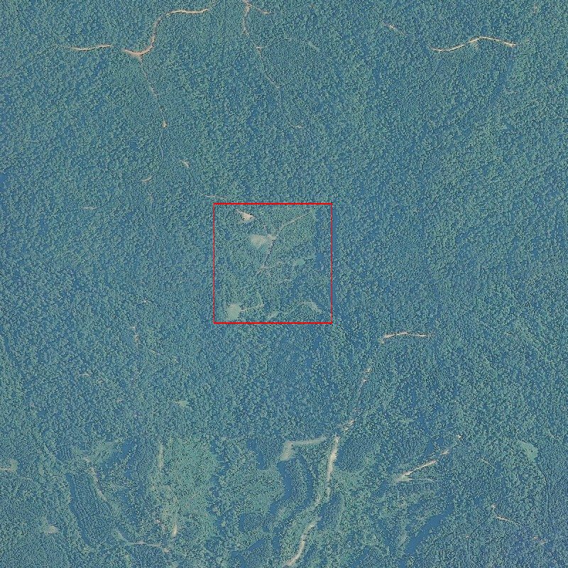 40 acres in Monroe County, Alabama
