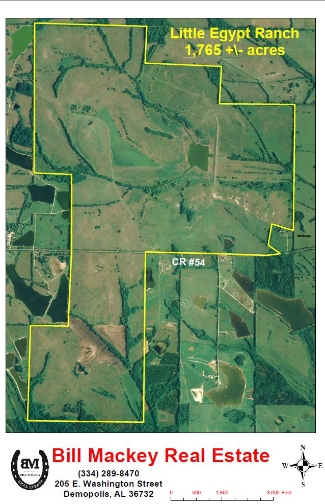 1,745 acres in Marengo County, Alabama