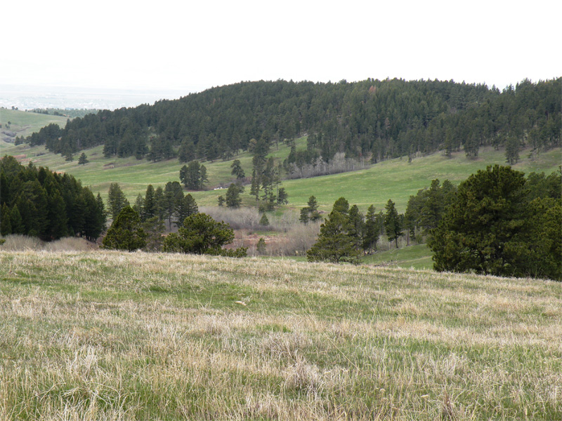 820 acres in Fergus County, Montana