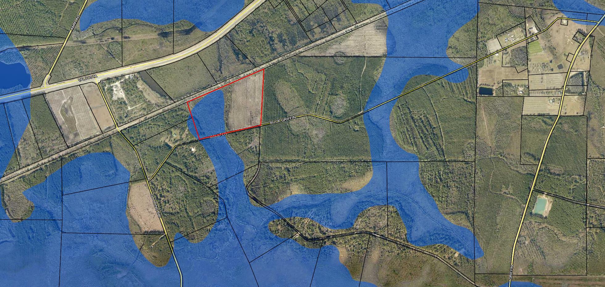 38 acres in Ware County,